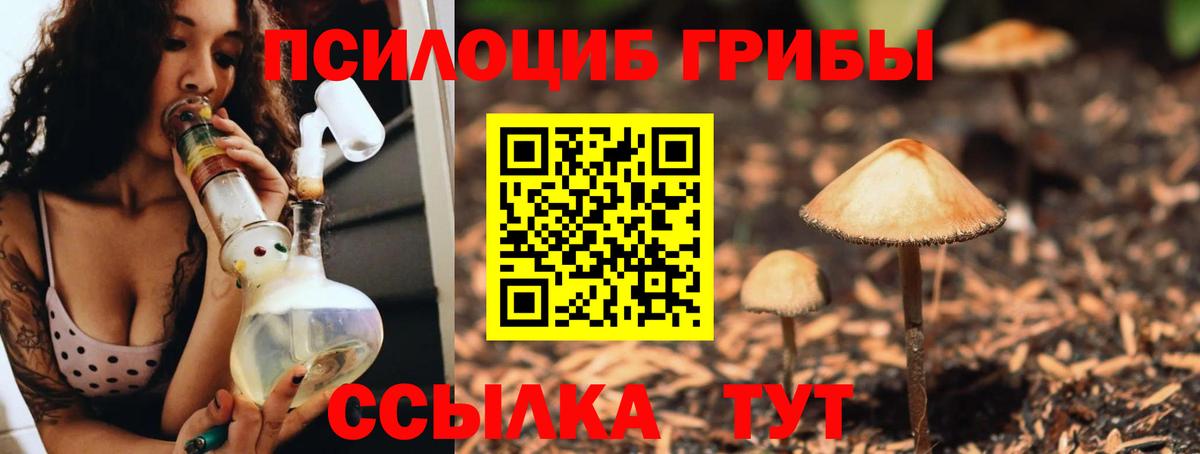 Псилоцибиновые грибы мухоморы Фрязино